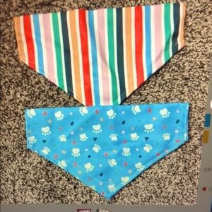 Colorful Striped and Blue Patterned Kids Bandana Set